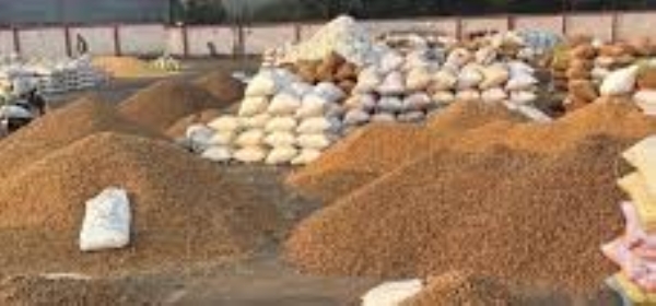 Huge influx of commodities like cumin, castor and fenugreek in Rajkot market yard,