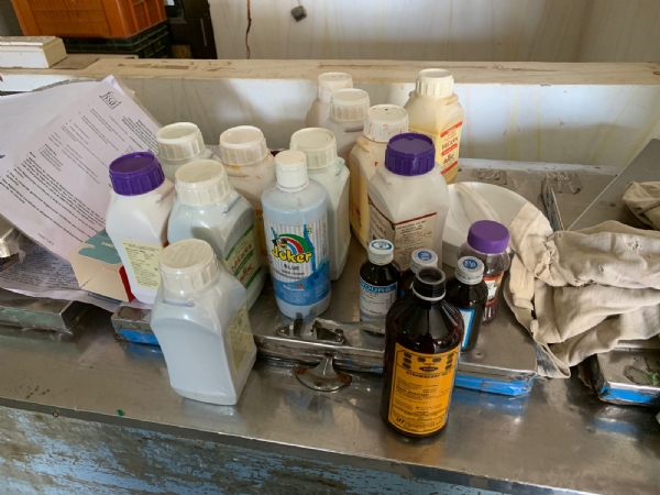 ફૂડ સેફ્ટી ચકાસણી