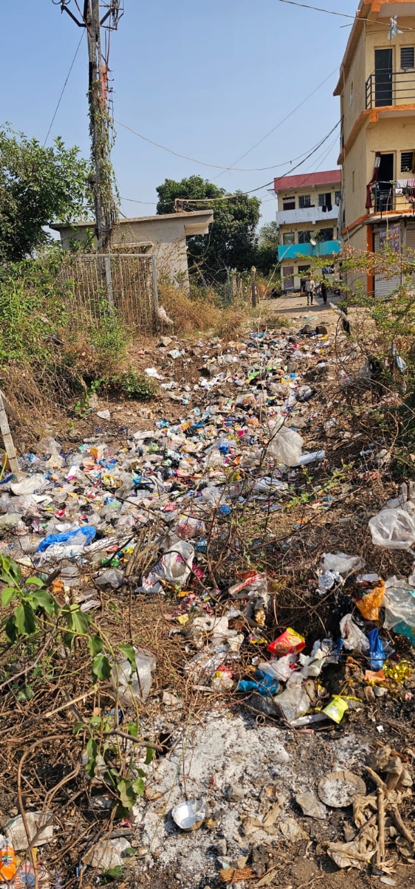 લવાછા વિસ્તારમાં રહેણાંક વચ્ચે કચરાના ઢગલા, સફાઈ વ્યવસ્થાની ઉણપ સ્પષ્ટ