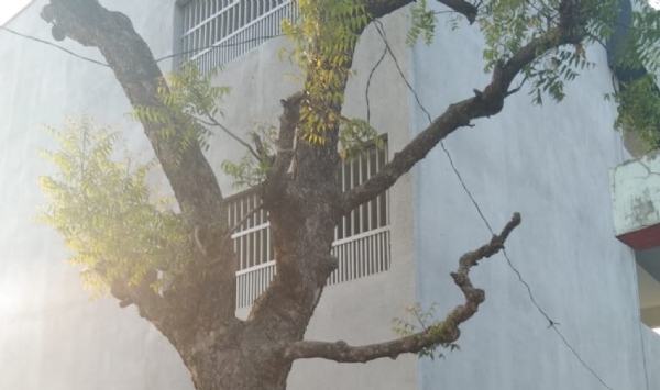 જામણીયાના 800 મતદારોએ રસ્તો નહીં તો મત નહીં નો કર્યો હુંકાર કરી 100 % મતદાનનો બહિષ્કાર કર્યો