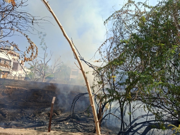 આગ ઓલાવતા ફાયર વિભાગના કર્મચારીઓ