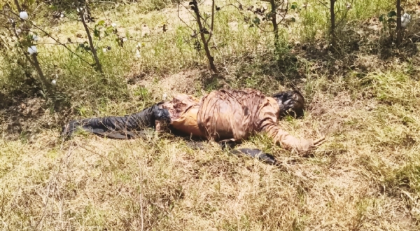 આમોદના રાણીપુરા ગામે શોકનો માહોલ