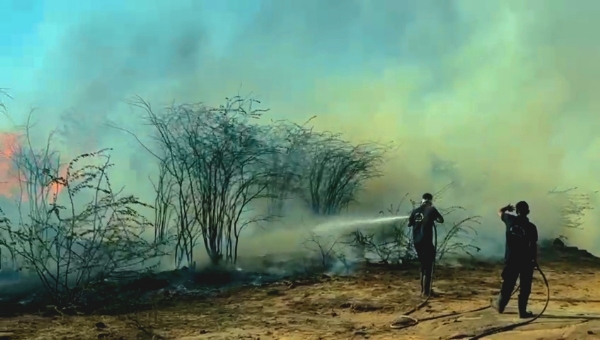 આગ ઓલાવતા ફાયર વિભાગના કર્મચારીઓ