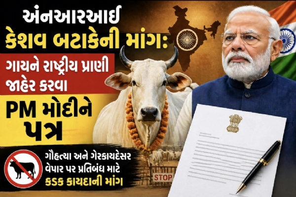 પ્રતિકાત્મક તસ્વીર