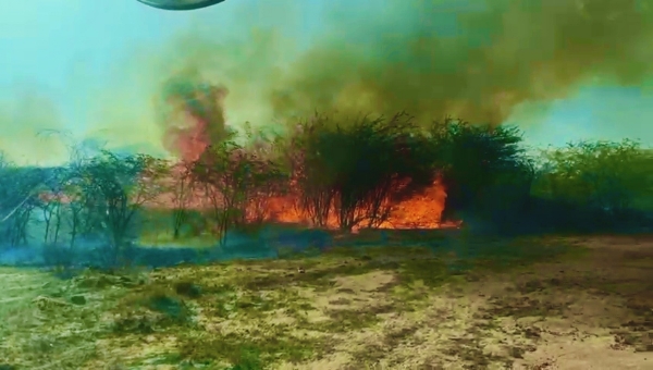 આગ ઓલાવતા ફાયર વિભાગના કર્મચારીઓ