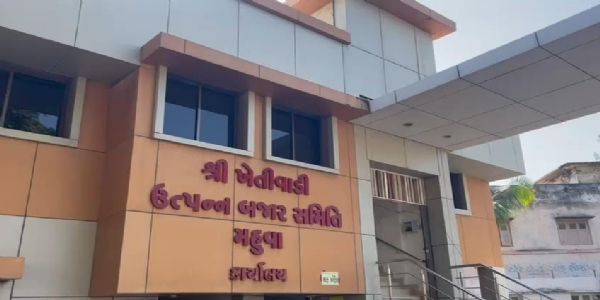 મહુવા માર્કેટિંગ યાર્ડમાં કાંદાની આવક બંધ કરવામાં આવી