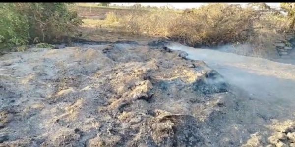 બાટવા દેવડીમાં શોર્ટ સર્કિટથી ઘાસચારો ભસ્મ, ખેડૂતને મોટું નુકસાન