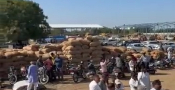 પાટણ ખાતે ગુજરાતના સૌથી મોટા તમાકુ સબયાર્ડમાં બીજા વર્ષની હરાજીનો પ્રારંભ પાટણ ખાતે ગુજરાતના સૌથી મોટા તમાકુ સબયાર્ડમાં બીજા વર્ષની હરાજીનો પ્રારંભ