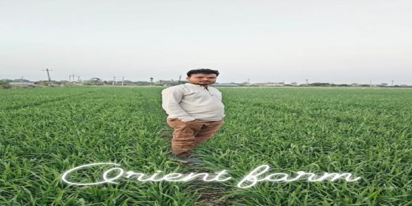 અમરેલીના યુવા ખેડૂત હાર્દિક વસોયાને “કૃષિ રત્ન એવોર્ડ–2026”થી સન્માન