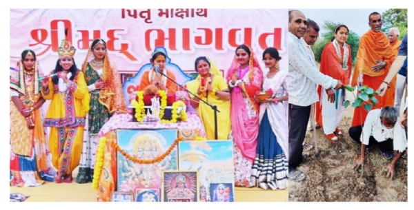 ભાવનગર ભાવનગર