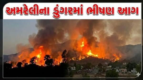 ખાંભા તાલુકાના બરસીયા ડુંગરમાં ભીષણ આગ, 80 વીઘાથી વધુ જમીન બળીને ખાખ