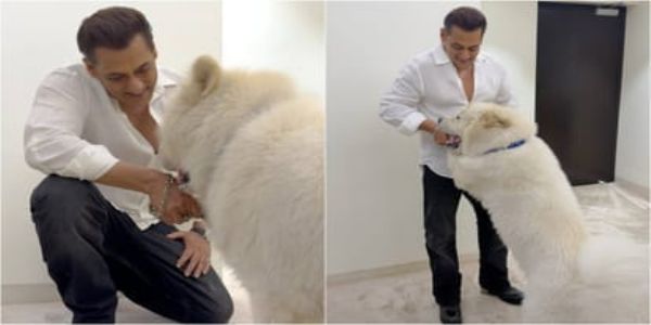 સલમાન ખાનની, મોડી રાતની પોસ્ટ વાયરલ થઈ રહી ..