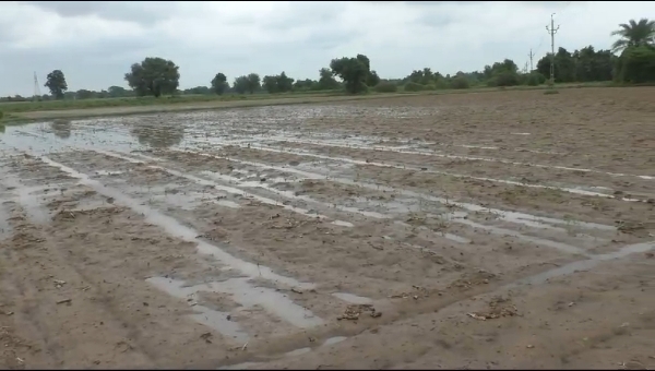 બે હવામાન સિસ્ટમ સક્રિય: મહેસાણામાં અચાનક વરસાદ બે હવામાન સિસ્ટમ સક્રિય: મહેસાણામાં અચાનક વરસાદ