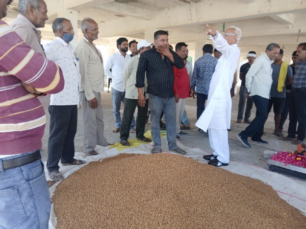 લાઠી માર્કેટિંગ યાર્ડમાં ટેકાના ભાવે ચણાની ખરીદીનો પ્રારંભ