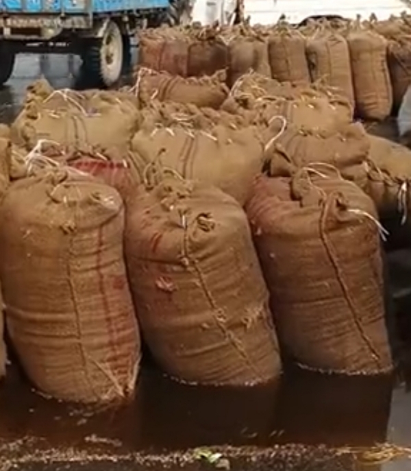 હારીજ પંથકમાં કમોસમી વરસાદના ઝાપટાં પડતાં ખેડૂતોમાં ચિંતા મા મુકાયા.