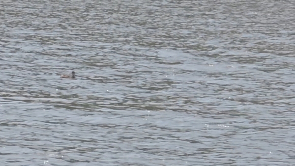 Ambaji ma have boting sharu thashe