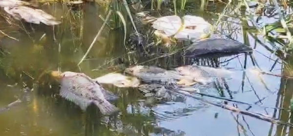 એક સમયે આખા ભરૂચ શહેરની તરસ છીપાવતું રતન તળાવ આજે નામશેષ થવાના આરે