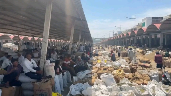 ઊંઝા માર્કેટયાર્ડમાં આવકનો રેકોર્ડ: 1.25 લાખ બોરીથી યાર્ડ ઉભરાયું