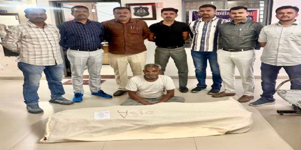 લાઠી નજીક ગાંજાનું વાવેતર પકડાયું, 12 કિલો સાથે 1 આરોપીની ધરપકડ