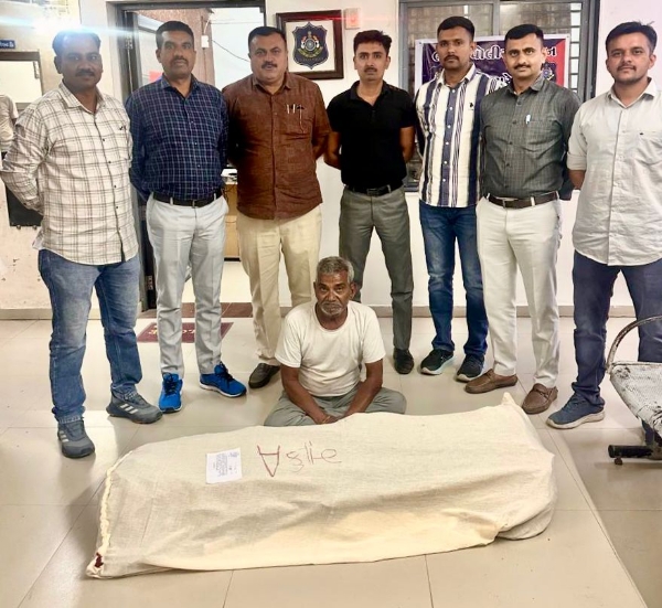 લાઠી નજીક ગાંજાનું વાવેતર પકડાયું: 12 કિલો સાથે 1 આરોપીની ધરપકડ લાઠી નજીક ગાંજાનું વાવેતર પકડાયું: 12 કિલો સાથે 1 આરોપીની ધરપકડ