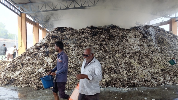 બાબરા માર્કેટિંગ યાર્ડમાં આગથી હાહાકાર: 5 ટ્રક જેટલો કપાસ બળી ખાખ, લાખોનું નુકસાન બાબરા માર્કેટિંગ યાર્ડમાં આગથી હાહાકાર: 5 ટ્રક જેટલો કપાસ બળી ખાખ, લાખોનું નુકસાન