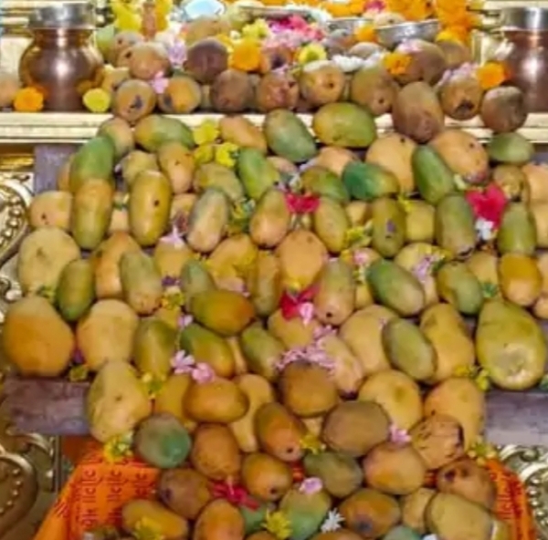 ચાણસ્મામા શેષનારાયણ ગોગા મહારાજના મંદિરે વૈશાખ સુદ પૂર્ણિમા પર અન્નકુટ મનોરથ અર્પણ કરવામાં આવ્યો.