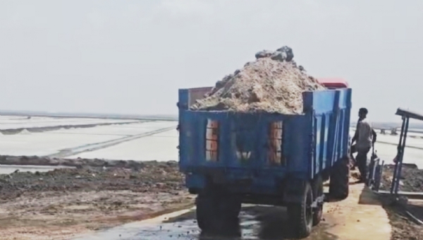 ભરૂચ જિલ્લાના વાગરા તાલુકાના મુલેર ગામે વિમારઝુ સોલ્ટના કૌભાંડનો પર્દાફાશ