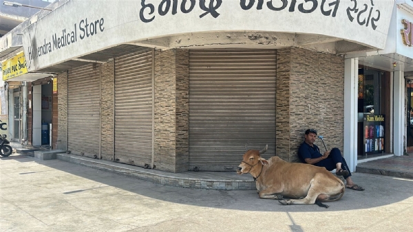પોરબંદરના મેડિકલ સ્ટોરની હડતાલ.