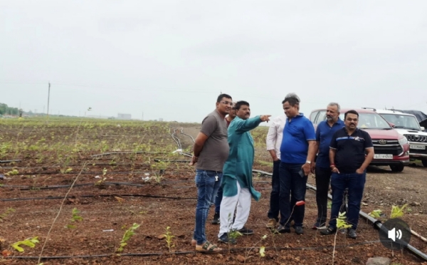 દસ લાખ વૃક્ષો વાવી મોરબીને હરિયાળું બનાવ્યું