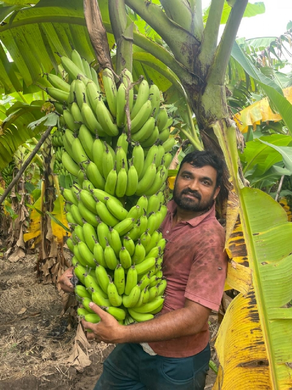 Kalpesh Patel abandoned chemical fertilizers and adopted natural farming