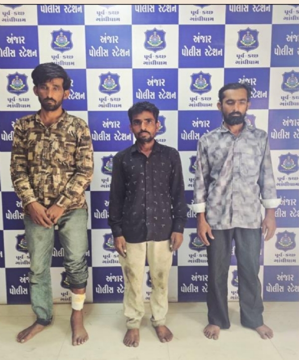 આંતર જીલ્લા કેબલ ચોરીના આરોપીઓ
