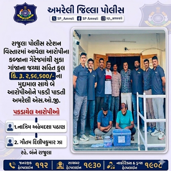 રાજુલા વિસ્તારમાં ગાંજાના જથ્થા સાથે બે આરોપી ઝડપાયા, અમરેલી એસઓજીની કાર્યવાહી