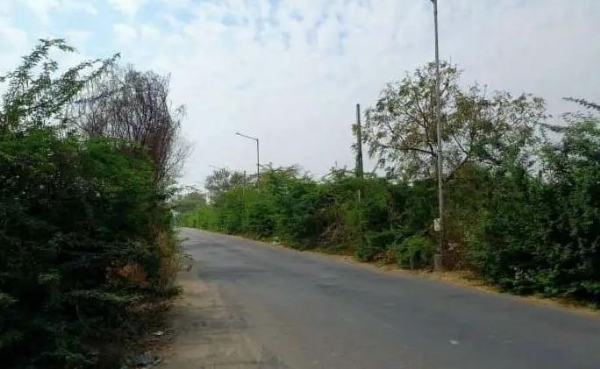 અમરેલી-બાબરા નેશનલ હાઈવેને ફોર લેન કરવાની માંગ ઉગ્ર, વાહનવ્યવહાર અને અકસ્માતોની સમસ્યાનો મુદ્દો ઉઠ્યો