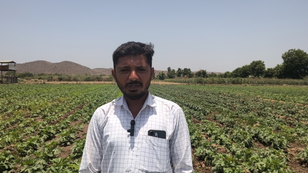 ભાવનગર