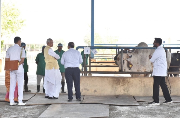 માત્ર વાછરડી આપતી સેક્સ્ડ સિમન ટેકનોલોજી