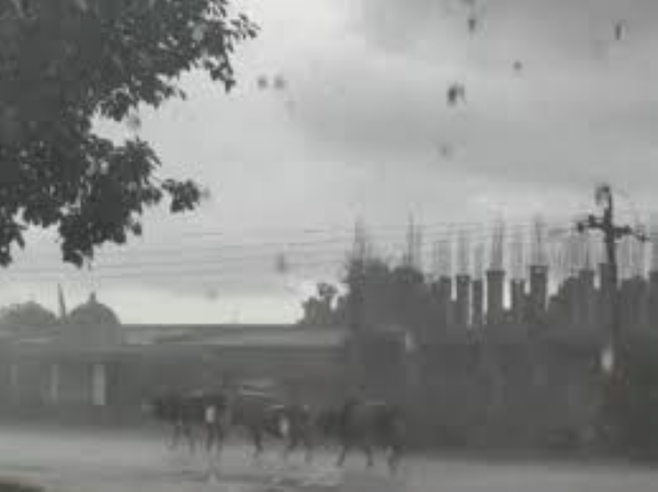 Heavy rain in Aravalli-Mahisagar since early morning, temperature in Rajkot drops by 3.7°
