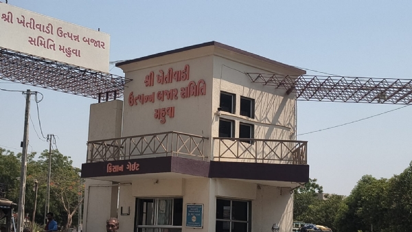 યાર્ડ ફાઈલ ફોટો યાર્ડ ફાઈલ ફોટો