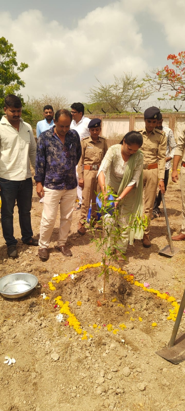 રાણાવાવ આઈટીઆઈ ખાતે વૃક્ષારોપણ અભિયાન અંતર્ગત 200 વૃક્ષોનું વાવેતર કરાયું રાણાવાવ આઈટીઆઈ ખાતે વૃક્ષારોપણ અભિયાન અંતર્ગત 200 વૃક્ષોનું વાવેતર કરાયું