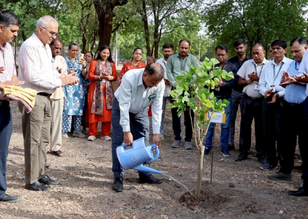 જૂનાગઢ કૃષિ યુનિવર્સિટીના પરિતળાવ બોટનિકલ ગાર્ડન