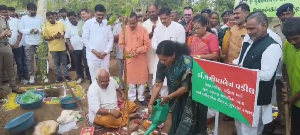 વૃક્ષારોપણ