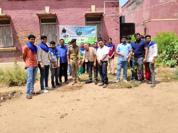 વૃક્ષારોપણ વૃક્ષારોપણ