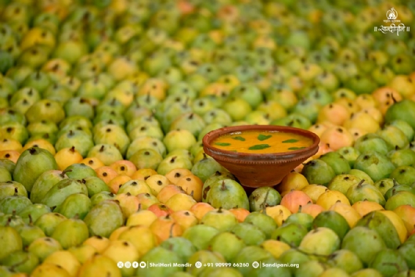 હરિ મંદિર ખાતે ભવ્ય અંબા મનોરથ સમપ્પન.