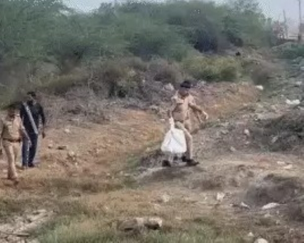 In Amreli, a man-eating lioness killed a young man who was leaving for his hometown.