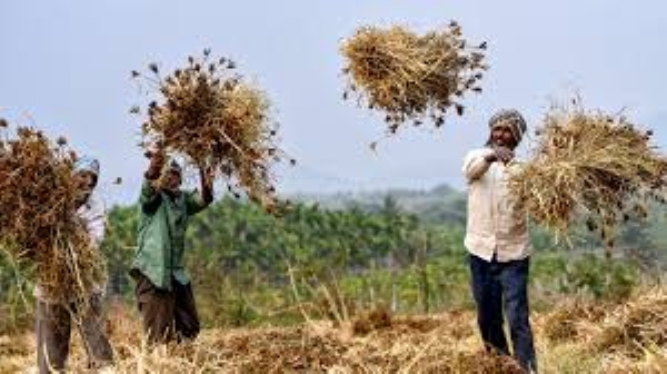farmers in the last 10 years