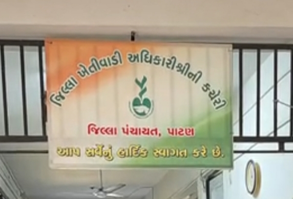 પાટણ જિલ્લામાં ખરીફ સિઝનના મુખ્ય રોકડિયા પાક બીટી કપાસના વાવેતરને મળ્યો જોરદાર વેગ પાટણ જિલ્લામાં ખરીફ સિઝનના મુખ્ય રોકડિયા પાક બીટી કપાસના વાવેતરને મળ્યો જોરદાર વેગ