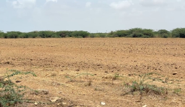 ભારવાડા ગામે તંત્ર દ્વારા ડીમોલેશન કરાયું.