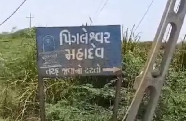 A young man was mauled by a lion in Mahuwa taluk of Bhavnagar district, the mutilated head and clothes of the young man were found in thick acacia bushes.