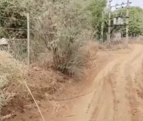 falling from electric wire in Saklana village of Banaskantha
