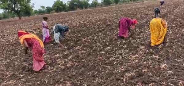 ખેડૂત
