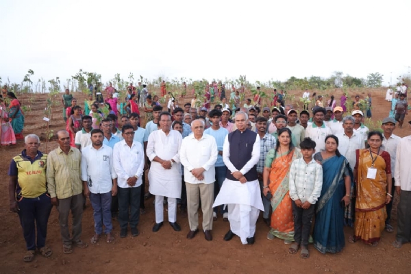 વૃક્ષારોપણ કરી આપ્યો પર્યાવરણ સંરક્ષણનો સંદેશ વૃક્ષારોપણ કરી આપ્યો પર્યાવરણ સંરક્ષણનો સંદેશ